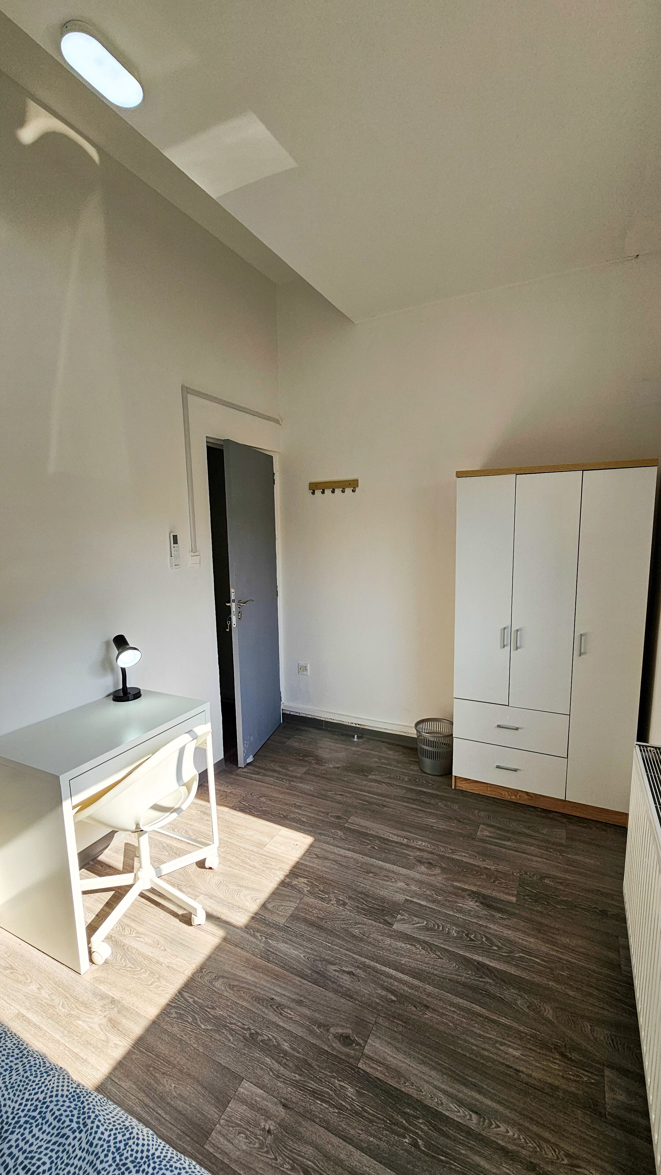 Photo - The Lemon Tree Hostel