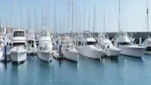 Un port de plaisance où sont amarrés de nombreux bateaux.