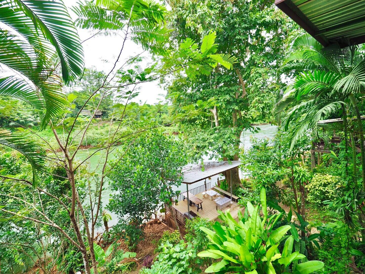 A lush garden with a wooden deck overlooking a body of water, surrounded by dense foliage.