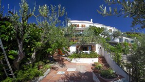 Un patio con un edificio blanco, un área empavedada y varias plantas.