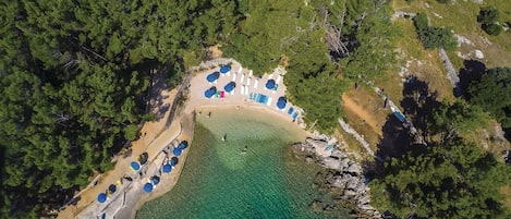 Nära stranden