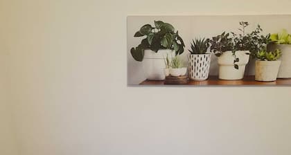 The apartment in Cesate