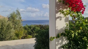 A balcony with a view of the sea and a red flower bush. - Tilos Villa (Tilos)