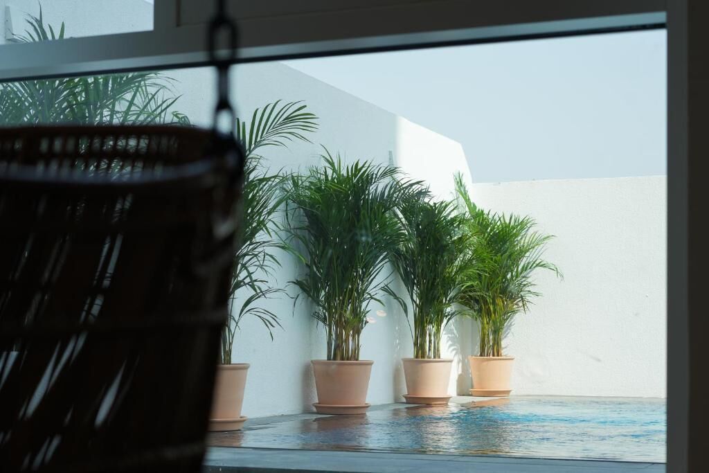 Vista de uma área de piscina com plantas em vasos e uma cadeira de vime.