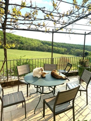 屋外ダイニングエリア