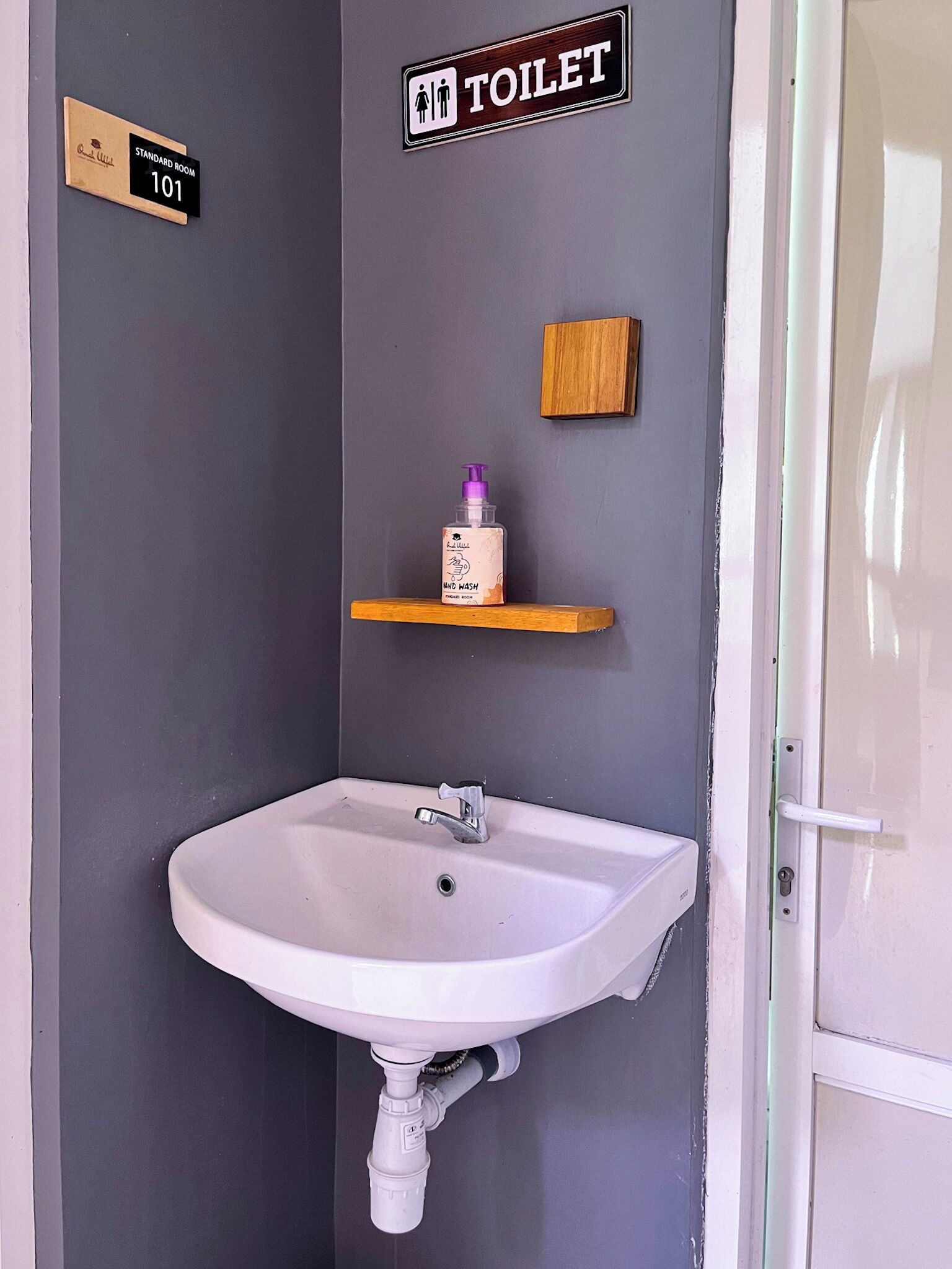 Baño de habitación estándar con un lavamanos blanco, cartel de inodoro y dispensador de jabón.