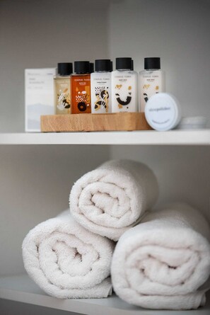 Shower, hair dryer, towels