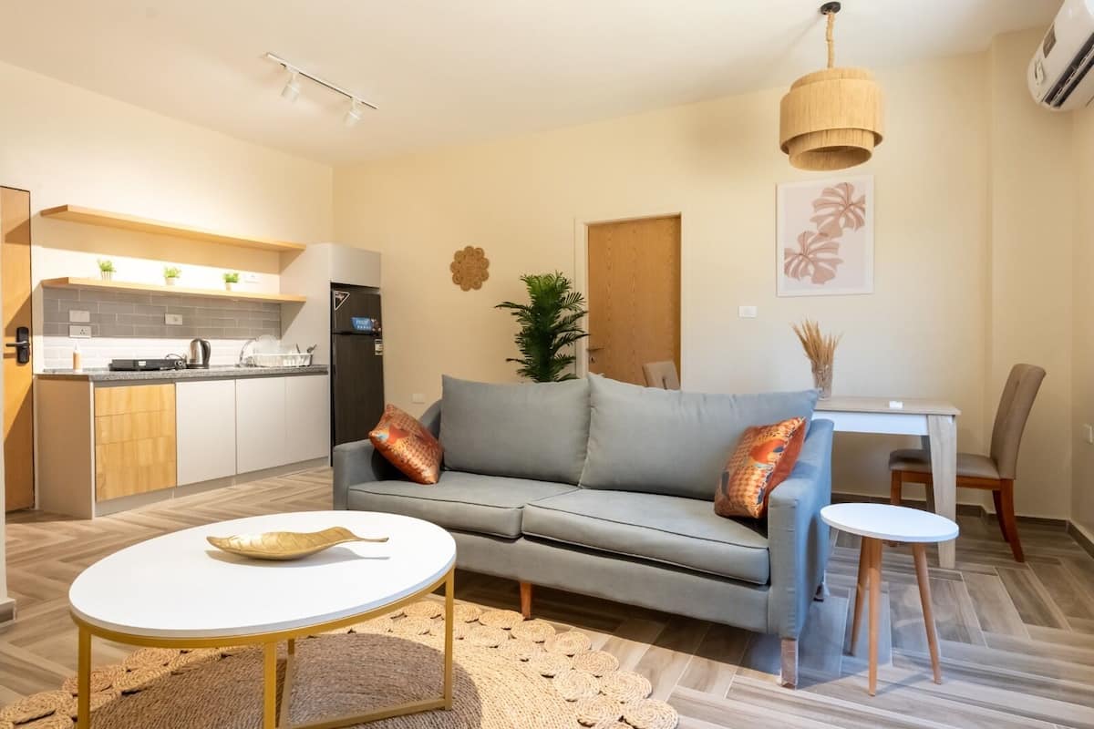Standard Apartment | Living area | 45-inch Smart TV with satellite channels