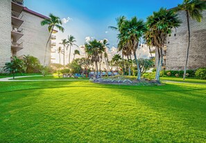 Property grounds - NEWLY Updated, Beachfront, WALK out to Beach, Pool, Hot Tub, BBQ! (Kihei)