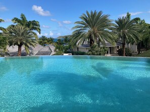 Pool - Spacious one bed apartment with stunning views of Nonsuch Bay  (FreeTown)