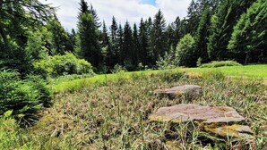A natural landscape with a grassy area, ferns, and rocks. - Ferienwohnung in Höhenlage mit Traumausblick (Sankt Oswald-Riedlhütte)