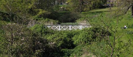 Un parque con un puente blanco, abundante vegetación y un edificio a lo lejos.