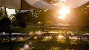 An outdoor seating area with tables and chairs under a canopy, surrounded by grass and trees. - Project JUNE (Jueterbog)