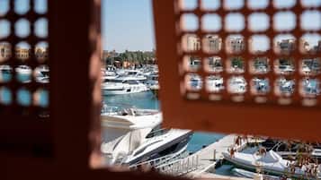A marina with multiple yachts docked, a clear sky, and buildings in the background.