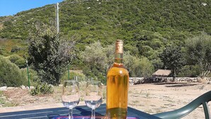 A table with a bottle and two glasses on a mat, set against a backdrop of a mountainous landscape.