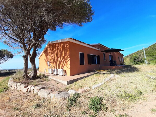 Una casa de un piso con techo plano, un árbol grande en frente y un cielo azul despejado.