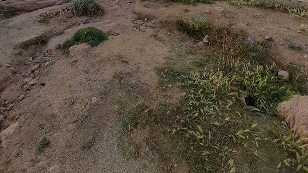 A coastal landscape with a sandy beach, rocky outcrops, and sparse vegetation.