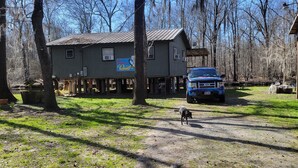 A rustic cabin with a blue truck parked in front, surrounded by trees and a grassy area.