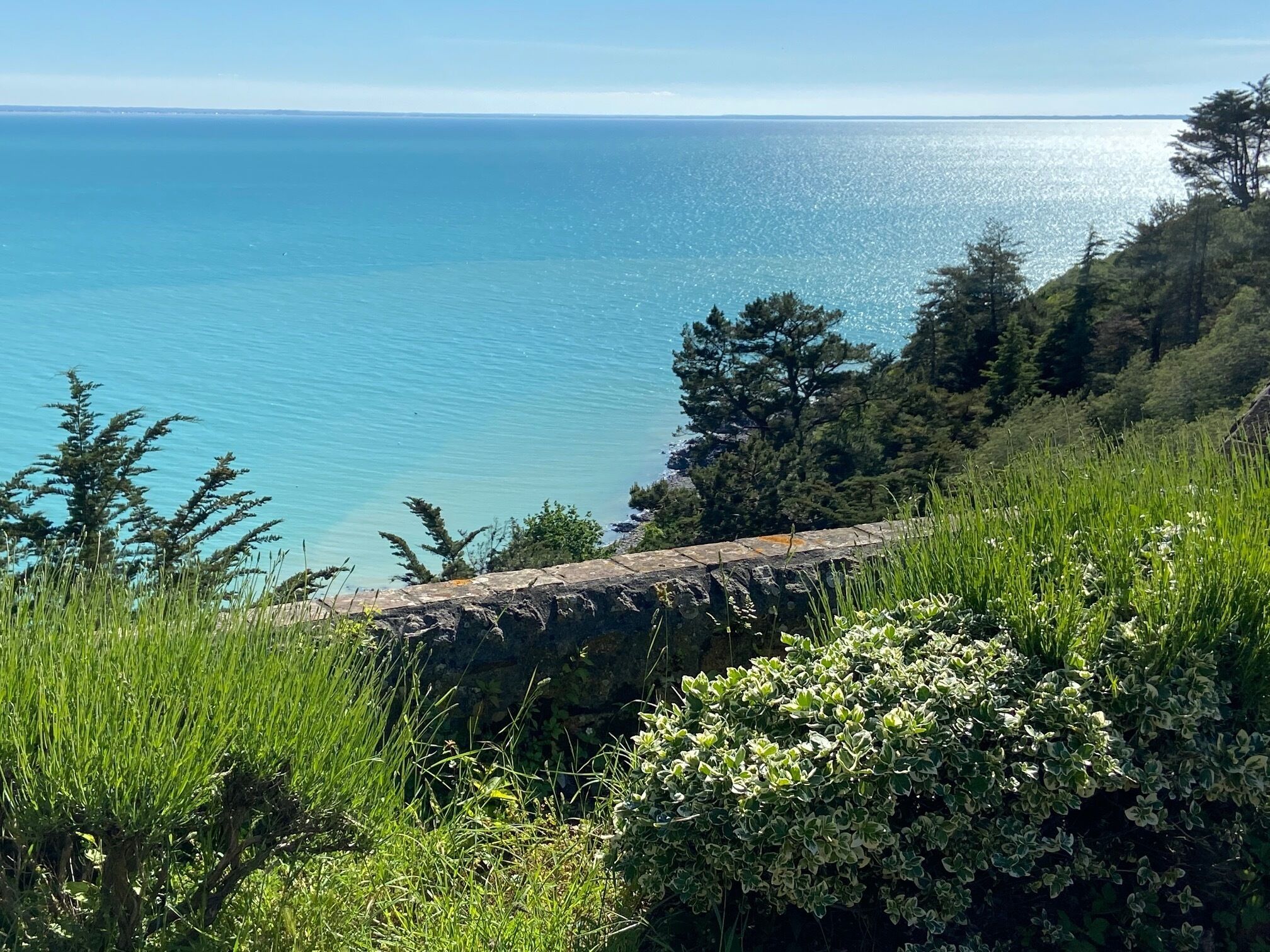 A coastal landscape with a clear view of the sea, a stone wall, and dense greenery.