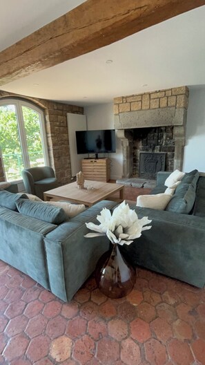 Smart TV, caminetto, libri