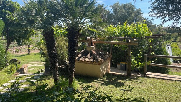 Um jardim com palmeiras, uma pérgula e uma estrutura de pedra.