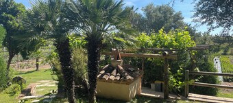 OROSEI VACATION HOME: GARDEN AND VEGETABLE GARDEN AVAILABLE, A FEW STEPS FROM THE SEA