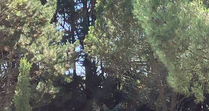 Longère Entre Provins et Coulommiers. À 1h de Disneyland Paris et 1h de Reims