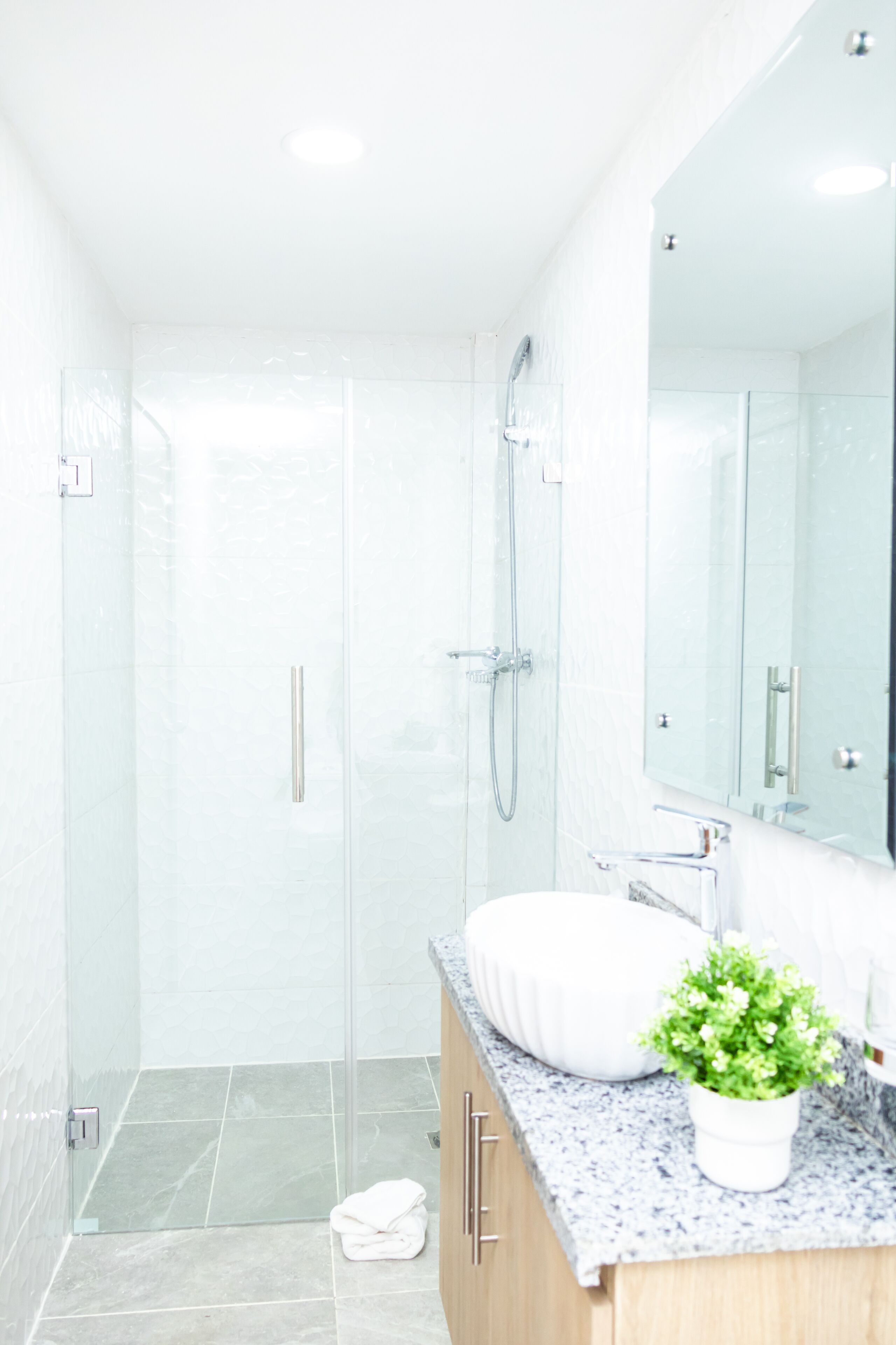 A modern bathroom with a glass shower enclosure, a marble countertop, and a potted plant.