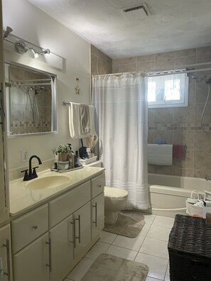 Shower, hair dryer, bidet, towels