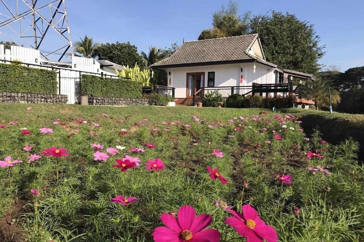 A house with a white exterior and a tiled roof, surrounded by a garden with pink flowers.