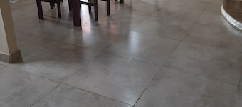 Cantar do Pássaro 🐦