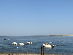 Sun-loungers - Welcome LES Portes Piscine et Animaux Bienvenus (Les Portes-en-Ré)