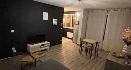 Charmant studio face a la gare