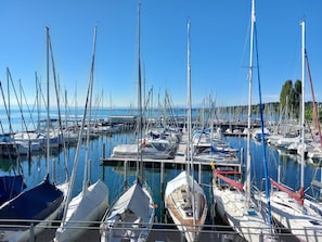 Ein Yachthafen mit mehreren angedockten Booten, blauem Himmel und ruhiger Wasserfläche.