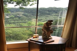 Interior - Mt. Joy...Zenfully refreshing! (Canyon Lake)