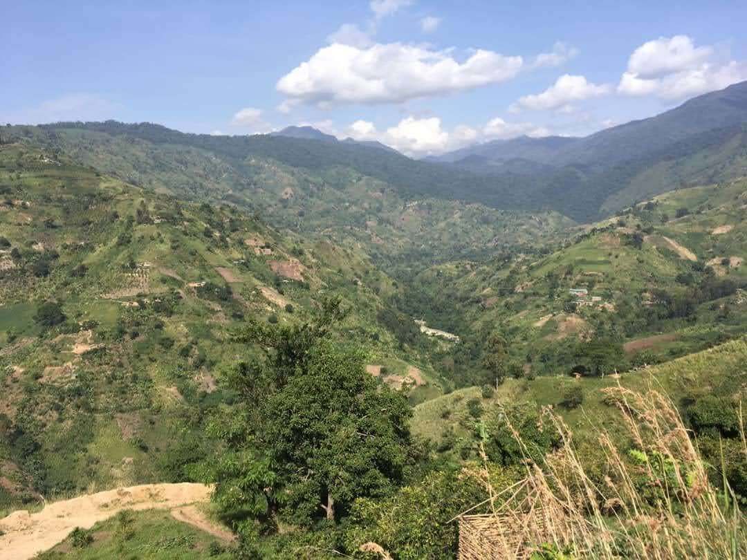 Pemandangan dari kamar