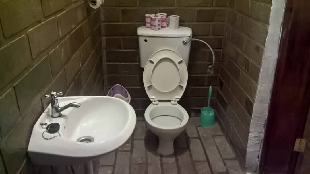 Un baño pequeño con inodoro, lavamanos y un cepillo de limpieza verde.