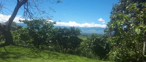 A lush green landscape with a clear blue sky and distant mountains.