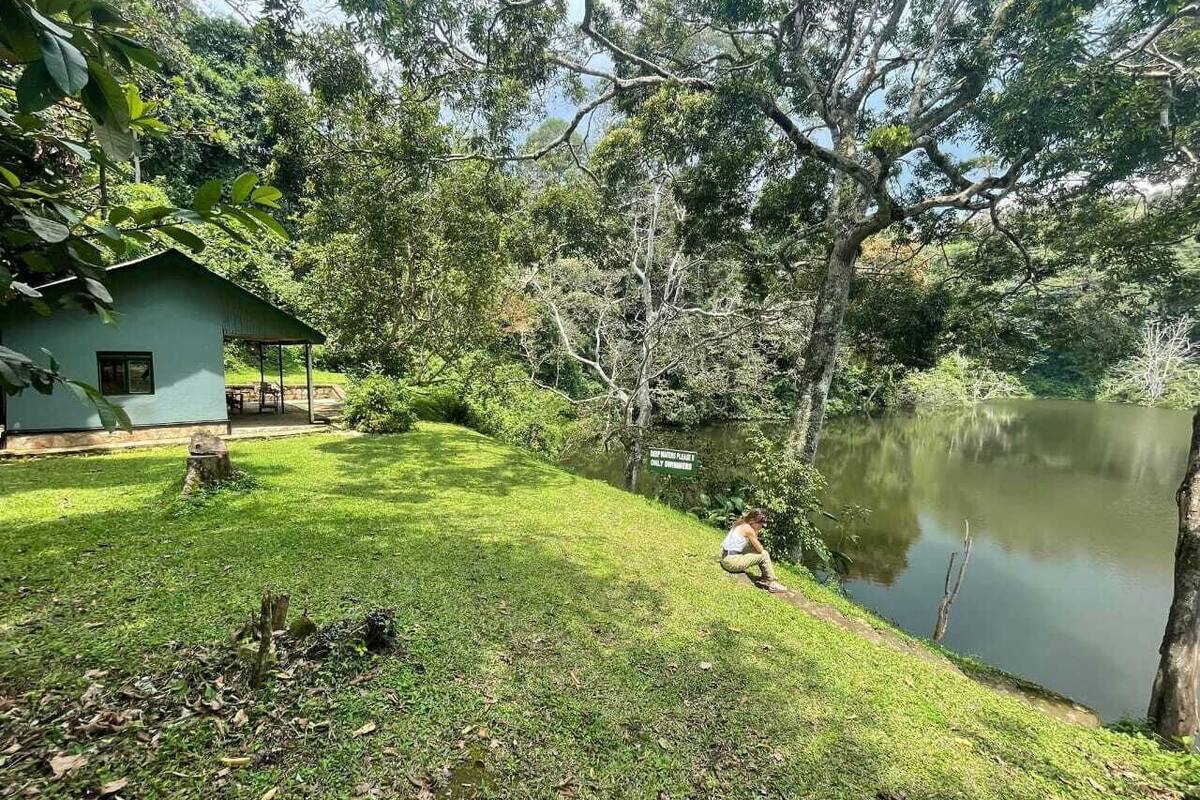 A house with a grassy yard and a pond.