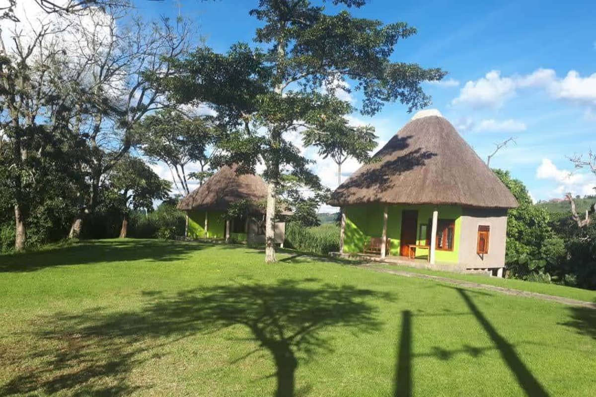 A rural setting with thatched-roof huts, a well-maintained lawn, and trees.