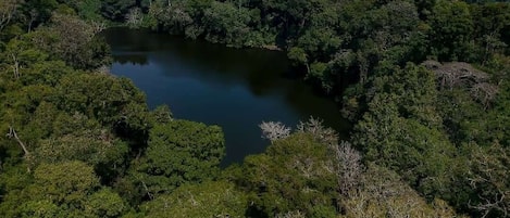 Chambre double ou avec lits jumeaux | Terrasse/patio