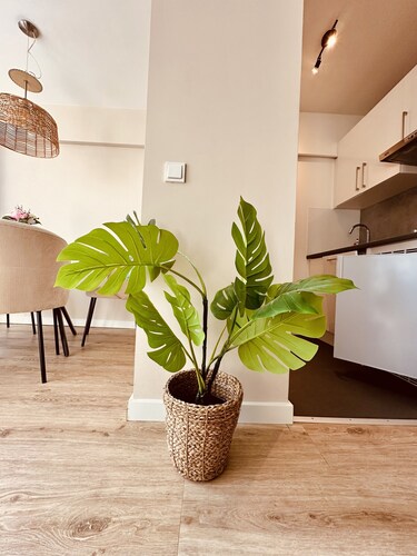 Gemütliche Ferienwohnung an der Ostseeküste Hunde Sehr Willkommen! #heimathafen