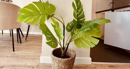 Gemütliche Ferienwohnung an der Ostseeküste Hunde Sehr Willkommen! #heimathafen