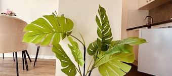 Gemütliche Ferienwohnung an der Ostseeküste Hunde Sehr Willkommen! #heimathafen