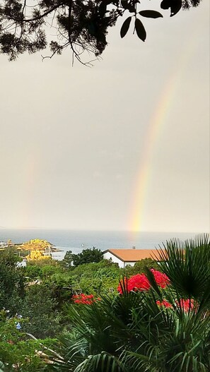 Miscellaneous - Masciaredda House - authenticity, relaxation, nature and sea view (Cannigione)