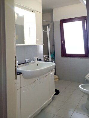 Shower, hair dryer, bidet, soap