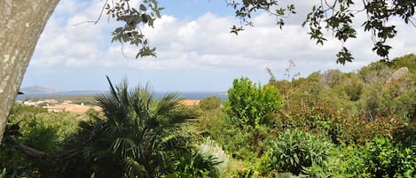 Um jardim exuberante com diversas plantas e árvores, céu claro e uma vista distante da paisagem costeira.