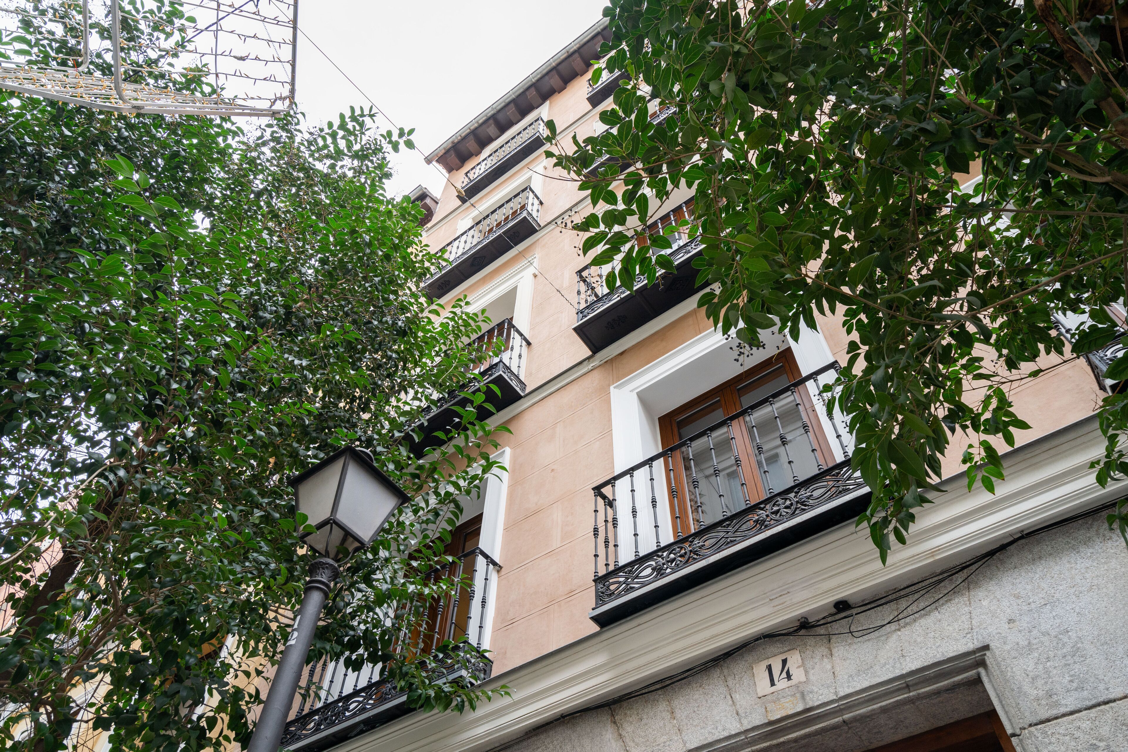 Un edificio de varios pisos con balcones, un farol y un árbol en la calle.