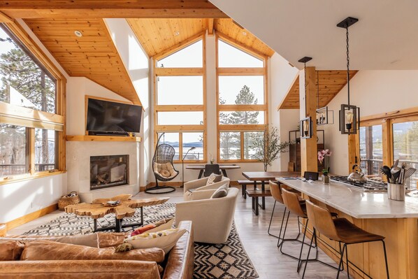 Smart TV, fireplace, books