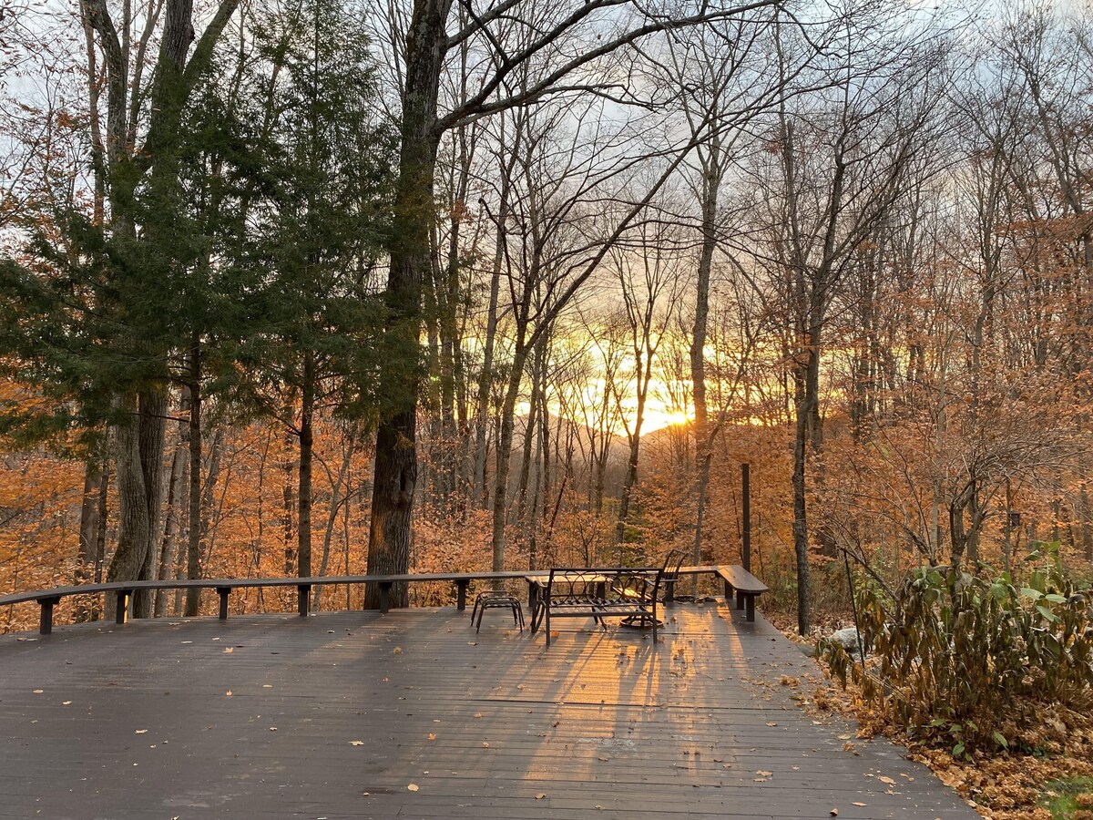 Imagen de perfil del propietario o de la propietaria